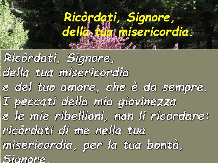 Ricòrdati, Signore, della tua misericordia e del tuo amore, che è da sempre. I