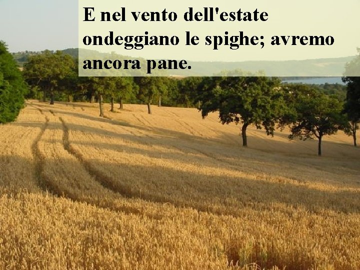 E nel vento dell'estate ondeggiano le spighe; avremo ancora pane. 