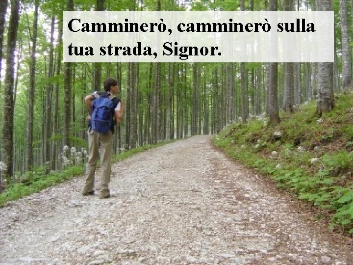 Camminerò, camminerò sulla tua strada, Signor. 