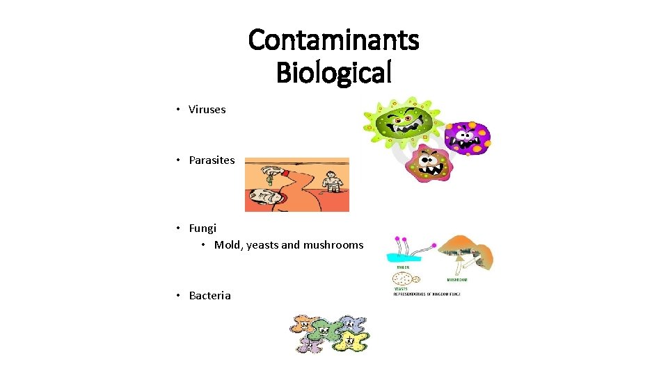 Contaminants Biological • Viruses • Parasites • Fungi • Mold, yeasts and mushrooms •