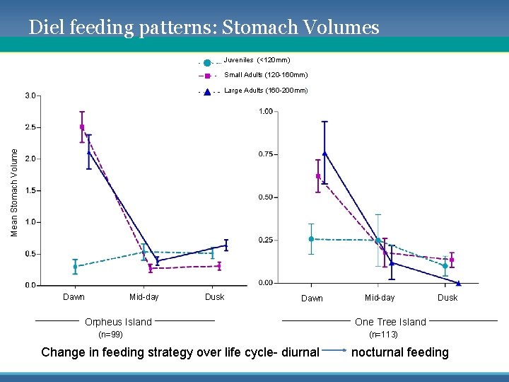 Diel feeding patterns: Stomach Volumes Juveniles (<120 mm) Small Adults (120 -160 mm) Mean