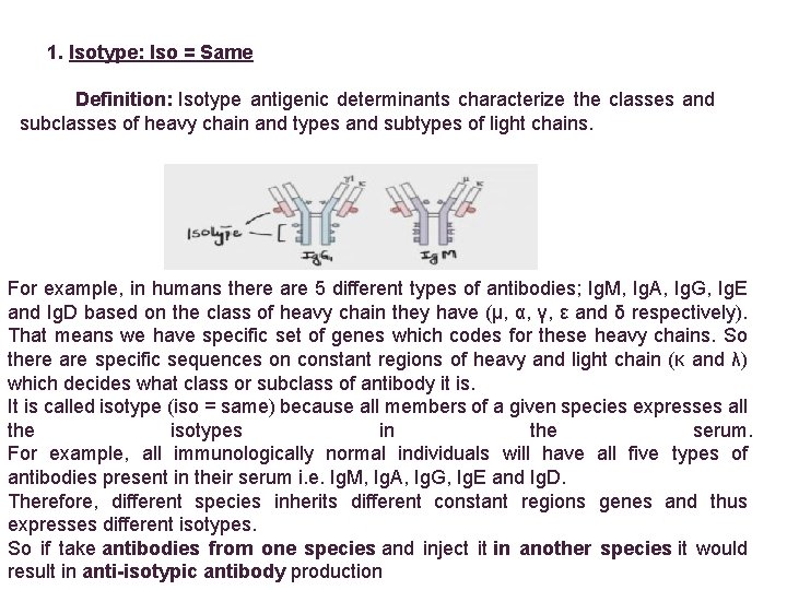 1. Isotype: Iso = Same Definition: Isotype antigenic determinants characterize the classes and subclasses