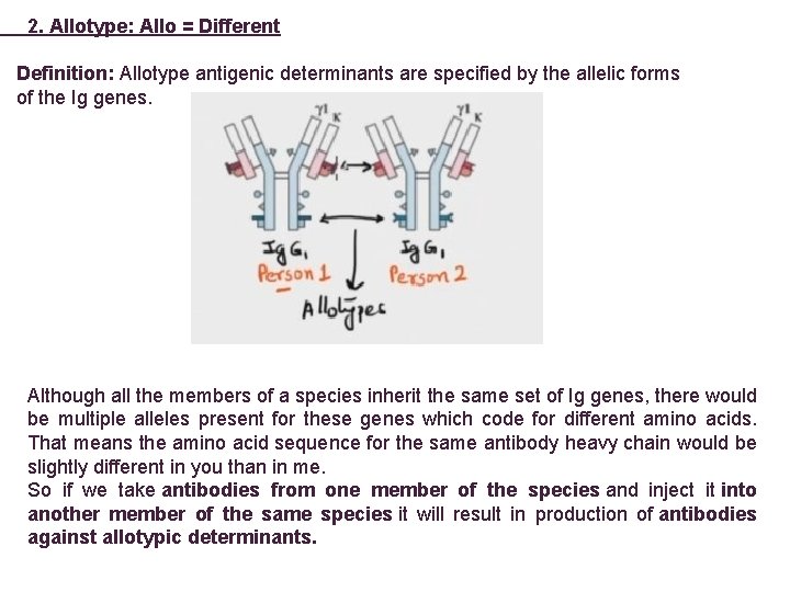 2. Allotype: Allo = Different Definition: Allotype antigenic determinants are specified by the allelic