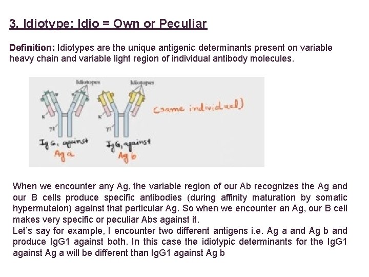 3. Idiotype: Idio = Own or Peculiar Definition: Idiotypes are the unique antigenic determinants
