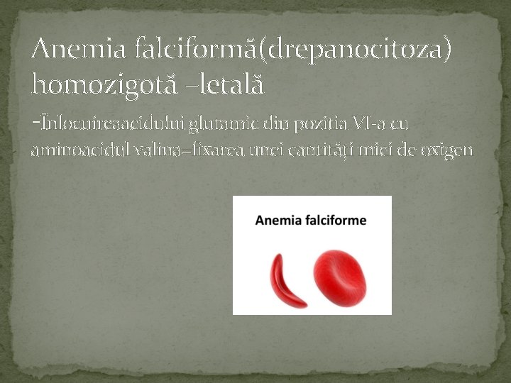 Anemia falciformă(drepanocitoza) homozigotă –letală -Înlocuireaacidului glutamic din pozitia VI-a cu aminoacidul valina=fixarea unei cantități