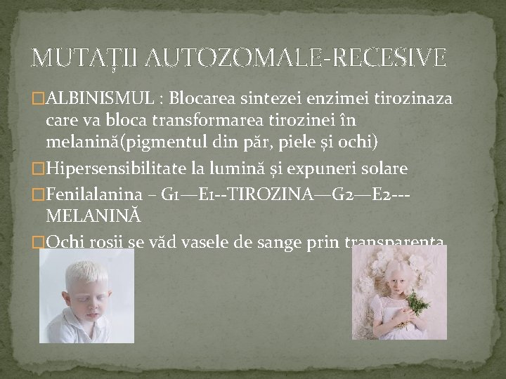 MUTAȚII AUTOZOMALE-RECESIVE �ALBINISMUL : Blocarea sintezei enzimei tirozinaza care va bloca transformarea tirozinei în