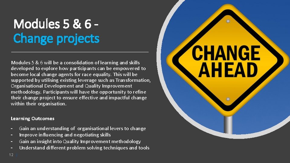 Modules 5 & 6 Change projects Modules 5 & 6 will be a consolidation