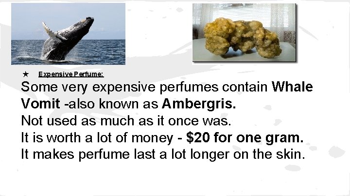 ★ Expensive Perfume: Some very expensive perfumes contain Whale Vomit -also known as Ambergris.