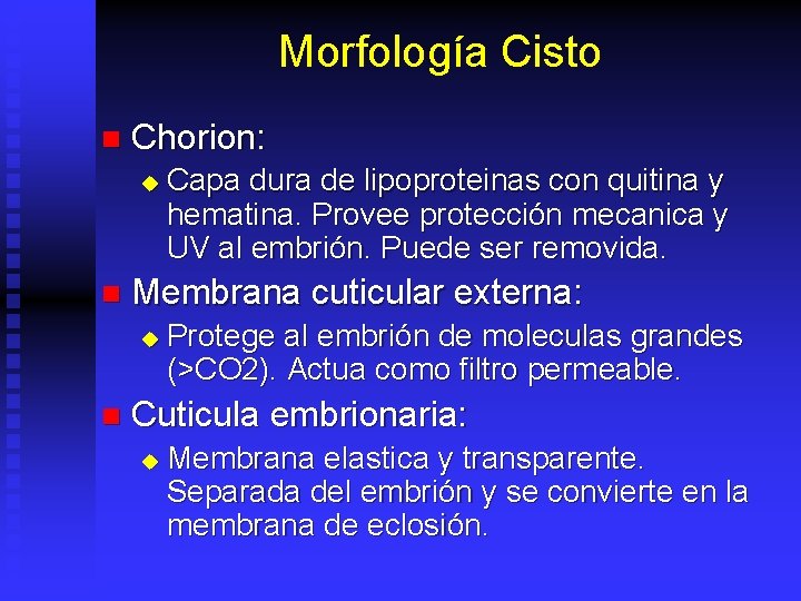 Morfología Cisto n Chorion: u n Membrana cuticular externa: u n Capa dura de