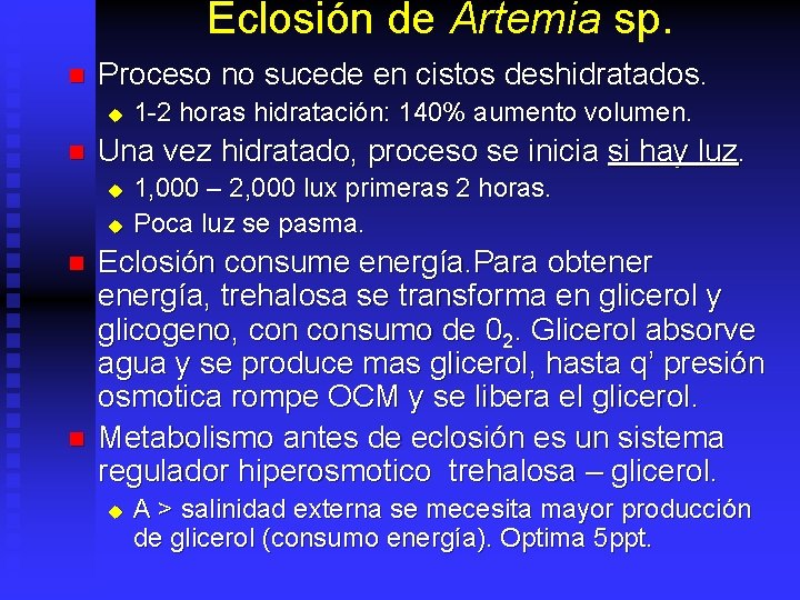 Eclosión de Artemia sp. n Proceso no sucede en cistos deshidratados. u n Una