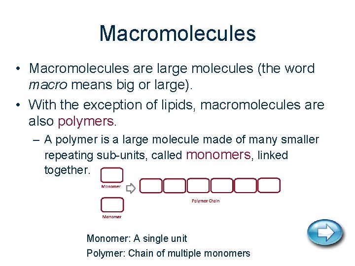 Macromolecules • Macromolecules are large molecules (the word macro means big or large). •