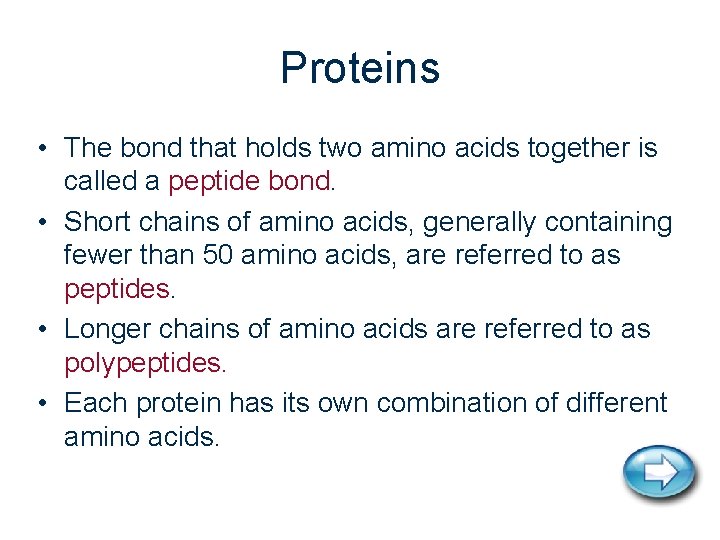 Proteins • The bond that holds two amino acids together is called a peptide