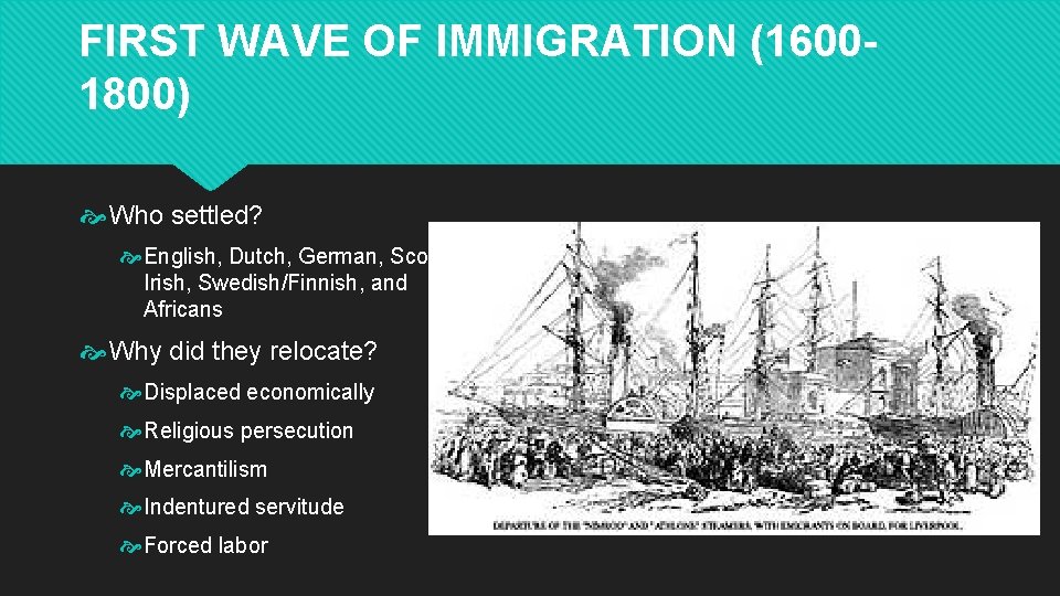 FIRST WAVE OF IMMIGRATION (16001800) Who settled? English, Dutch, German, Scot. Irish, Swedish/Finnish, and