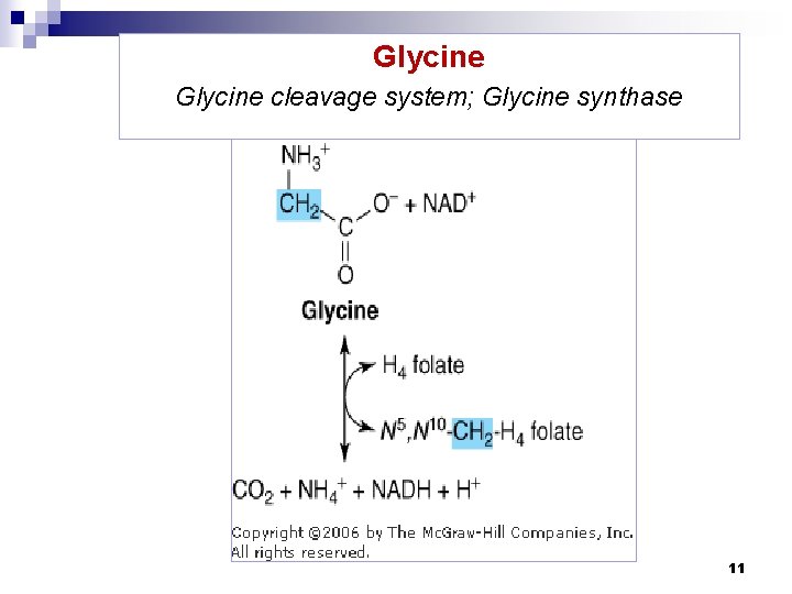 Glycine cleavage system; Glycine synthase 11 