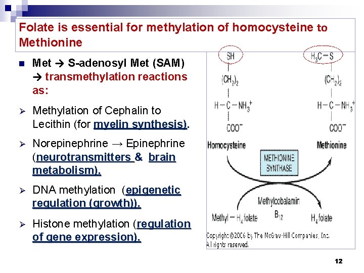 Folate is essential for methylation of homocysteine to Methionine n Met → S-adenosyl Met