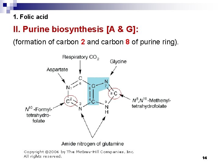 1. Folic acid II. Purine biosynthesis [A & G]: (formation of carbon 2 and