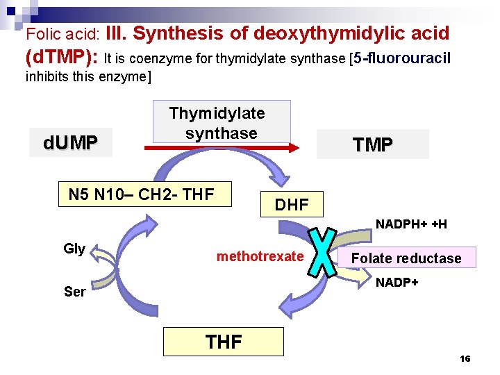 Folic acid: III. Synthesis of deoxythymidylic acid (d. TMP): It is coenzyme for thymidylate