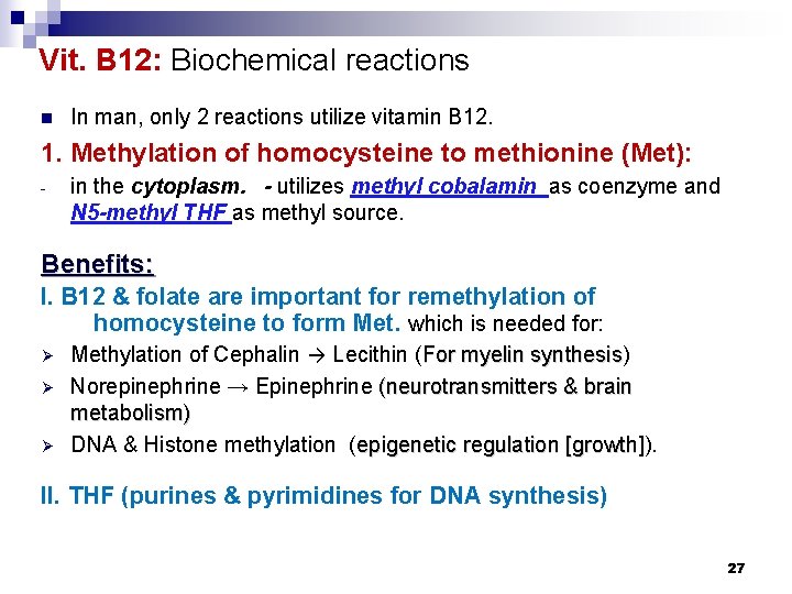 Vit. B 12: Biochemical reactions n In man, only 2 reactions utilize vitamin B