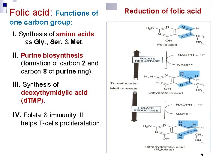 Folic acid: Functions of Reduction of folic acid one carbon group: I. Synthesis of