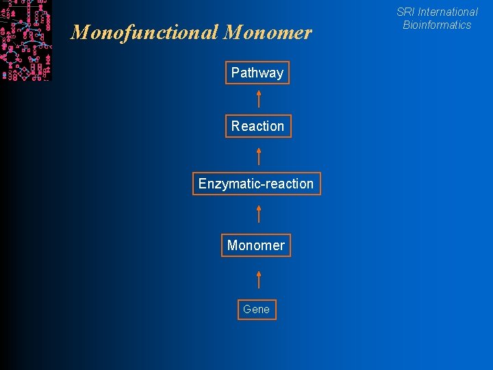 Monofunctional Monomer Pathway Reaction Enzymatic-reaction Monomer Gene SRI International Bioinformatics 