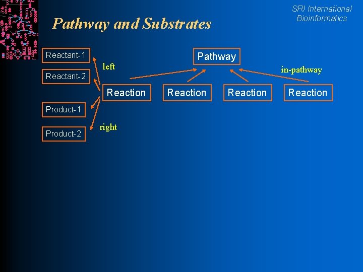 SRI International Bioinformatics Pathway and Substrates Reactant-1 left Pathway in-pathway Reactant-2 Reaction Product-1 Product-2