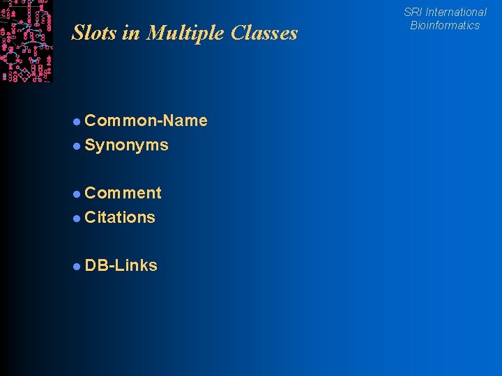 Slots in Multiple Classes l Common-Name l Synonyms l Comment l Citations l DB-Links