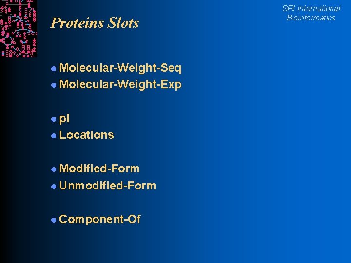 Proteins Slots l Molecular-Weight-Seq l Molecular-Weight-Exp l p. I l Locations l Modified-Form l