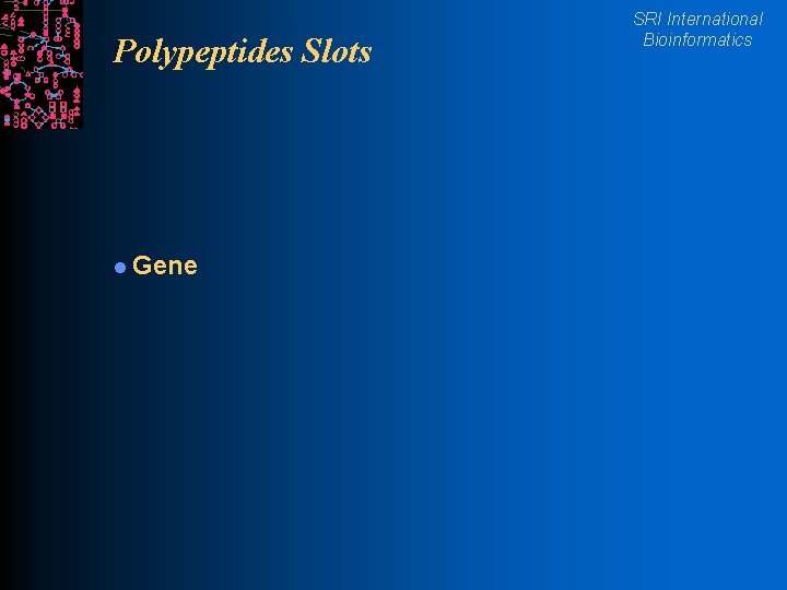 Polypeptides Slots l Gene SRI International Bioinformatics 