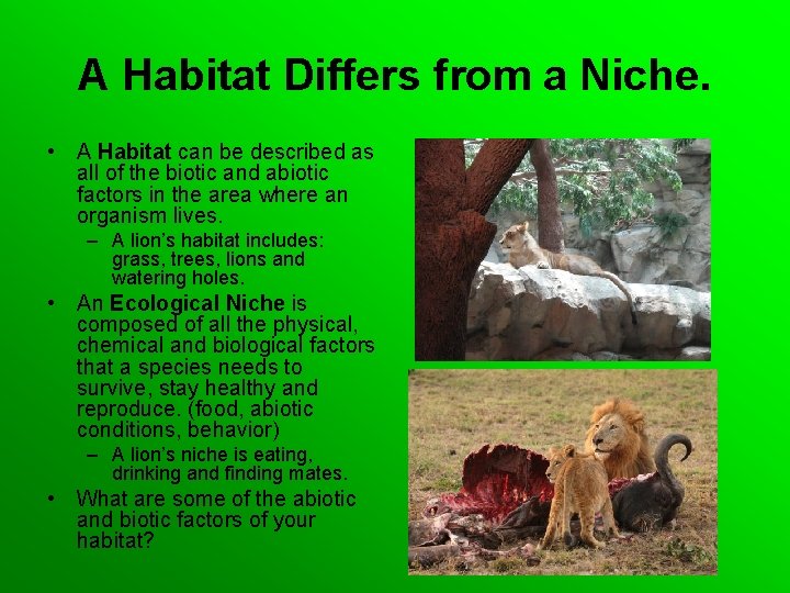 A Habitat Differs from a Niche. • A Habitat can be described as all