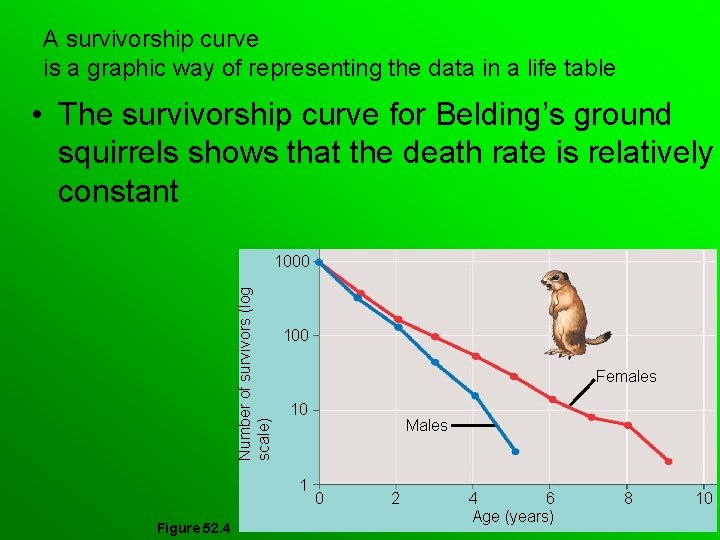A survivorship curve is a graphic way of representing the data in a life