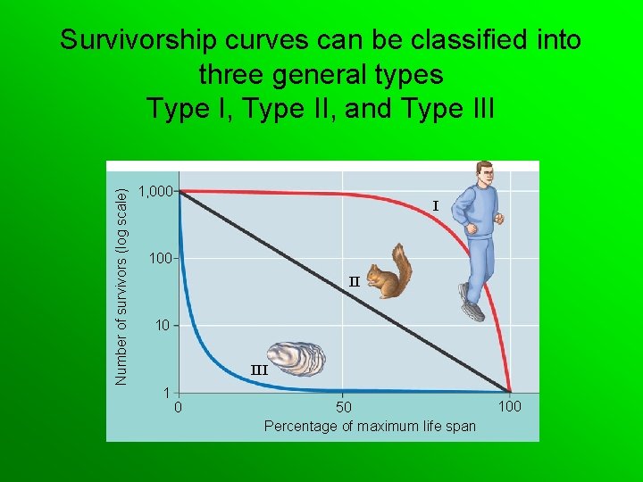 Number of survivors (log scale) Survivorship curves can be classified into three general types