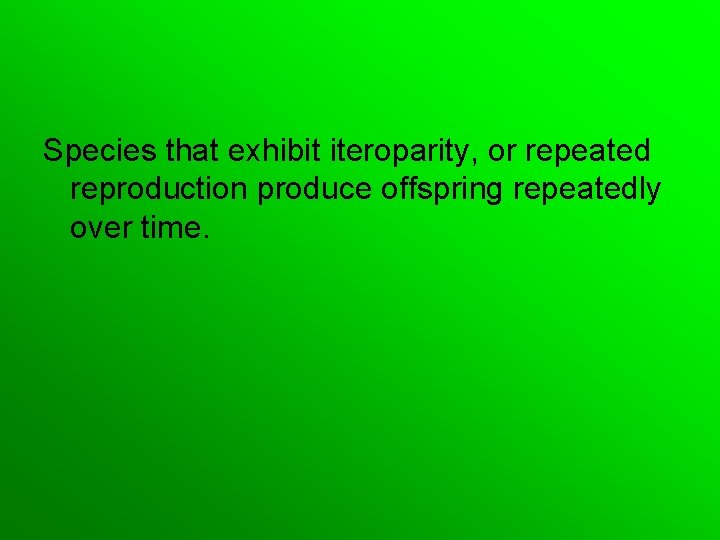 Species that exhibit iteroparity, or repeated reproduction produce offspring repeatedly over time. 