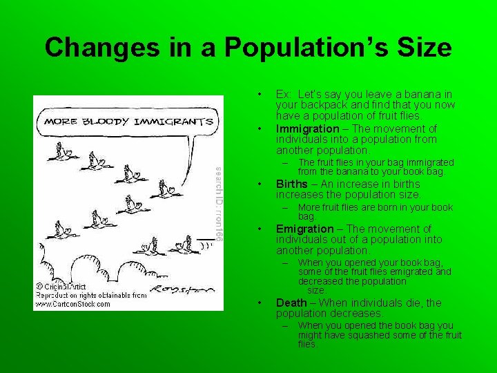 Changes in a Population’s Size • • Ex: Let’s say you leave a banana