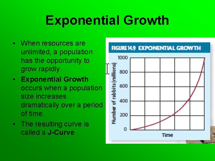 Exponential Growth • When resources are unlimited, a population has the opportunity to grow