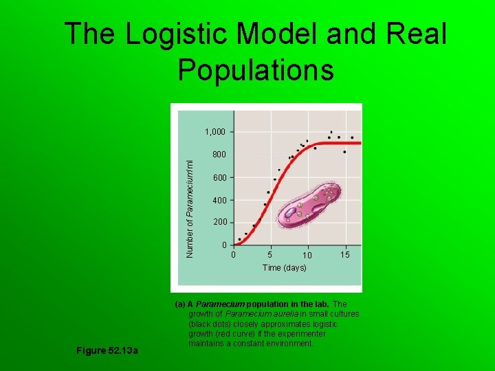 The Logistic Model and Real Populations 1, 000 Number of Paramecium/ml 800 600 400