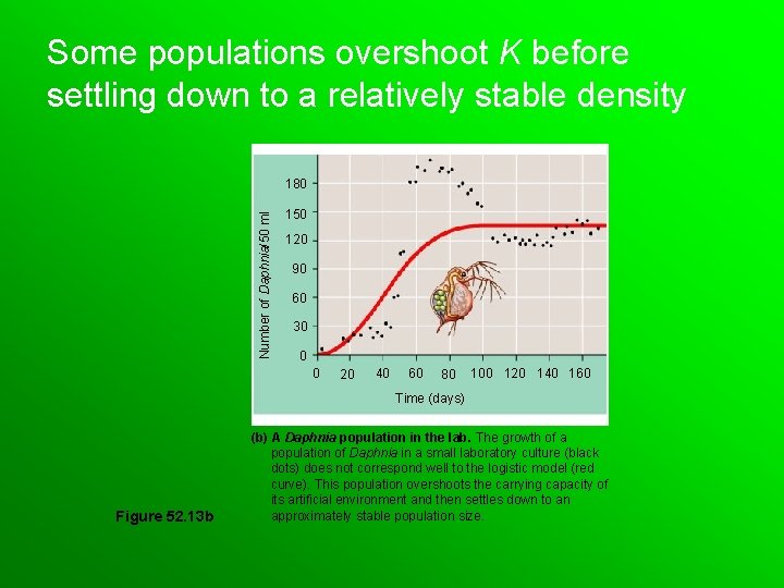 Some populations overshoot K before settling down to a relatively stable density Number of