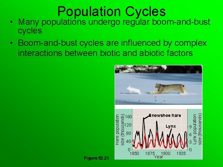 Population Cycles 160 120 Figure 52. 21 Snowshoe hare Lynx 9 80 6 40