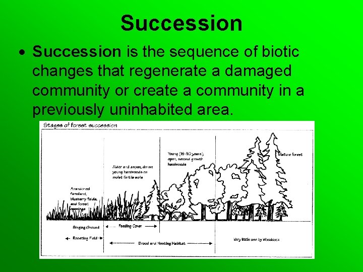 Succession is the sequence of biotic changes that regenerate a damaged community or create