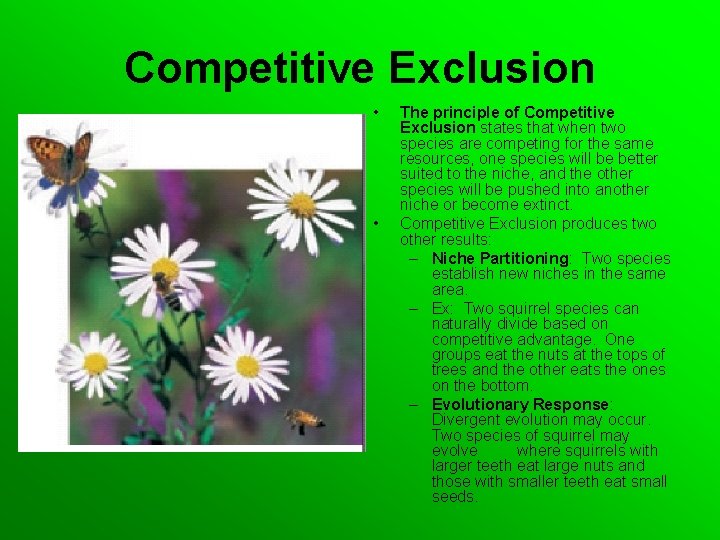 Competitive Exclusion • • The principle of Competitive Exclusion states that when two species