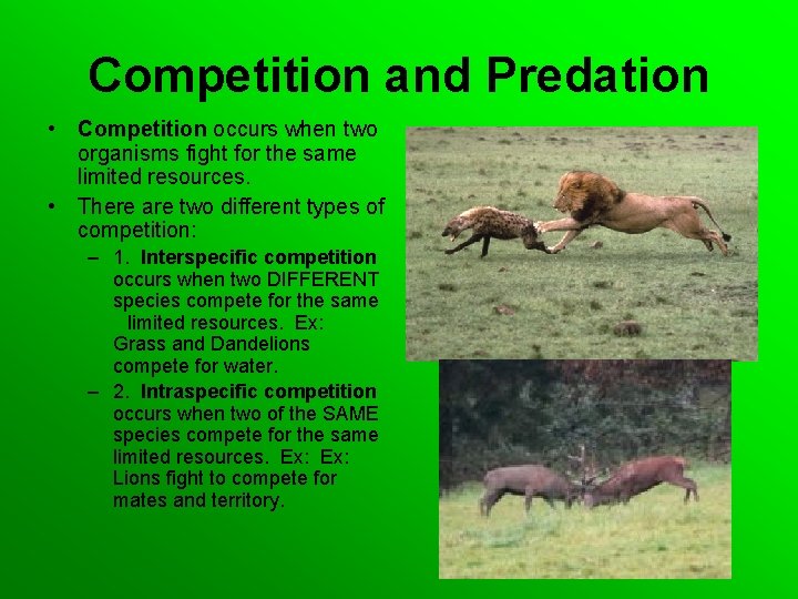Competition and Predation • Competition occurs when two organisms fight for the same limited