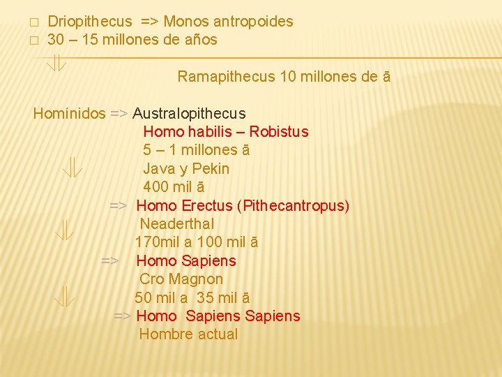 � � Driopithecus => Monos antropoides 30 – 15 millones de años Ramapithecus 10