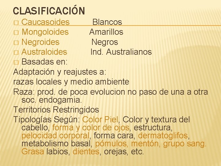 CLASIFICACIÓN Caucasoides Blancos � Mongoloides Amarillos � Negroides Negros � Australoides Ind. Australianos �