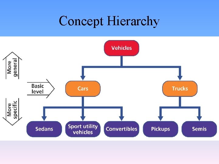 Concept Hierarchy 