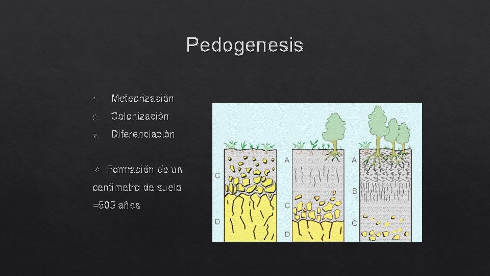 Pedogenesis 1. Meteorización 2. Colonización 3. Diferenciación Formación de un centimetro de suelo =500