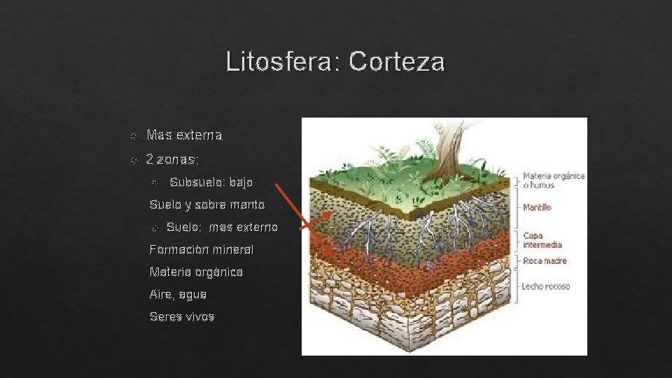 Litosfera: Corteza Mas externa 2 zonas: Subsuelo: bajo Suelo y sobre manto Suelo: mas