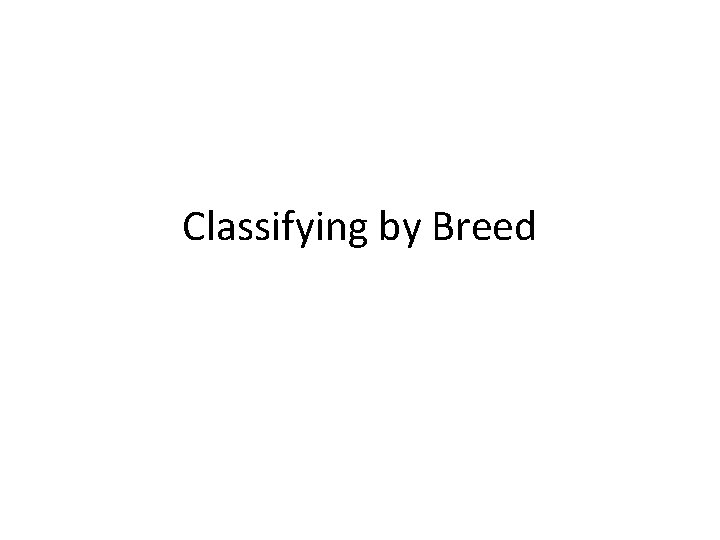 Classifying by Breed 