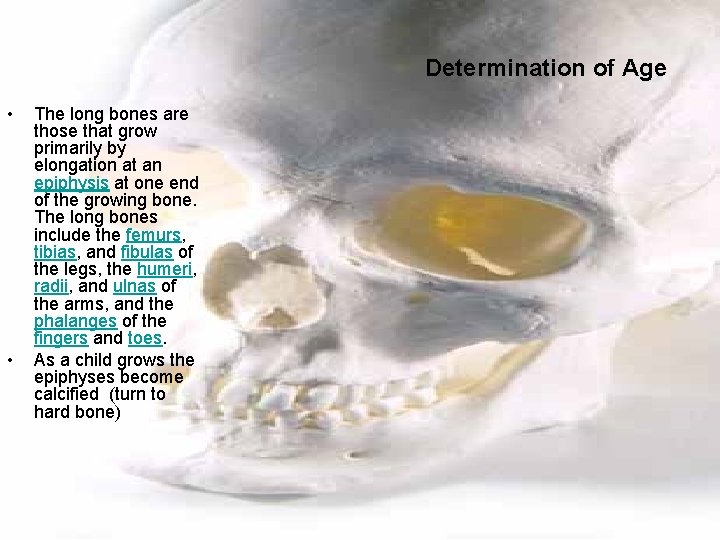 Determination of Age • • The long bones are those that grow primarily by