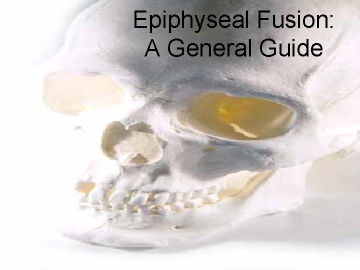 Epiphyseal Fusion: A General Guide 