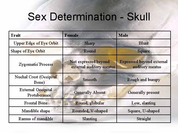 Sex Determination - Skull Trait Female Upper Edge of Eye Orbit Shape of Eye