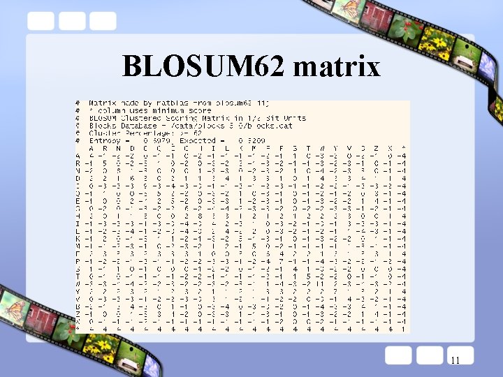 BLOSUM 62 matrix 11 